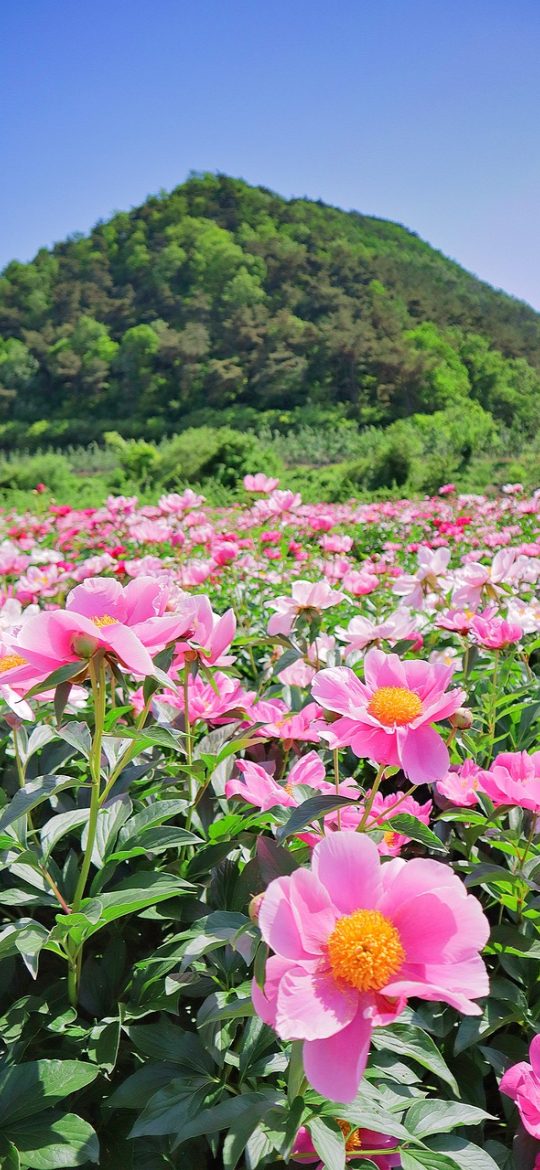 凡人修仙传漫画 App 首页目录界面，深藏青底色上排列着金色章节条目，顶部有搜索框与标签筛选按钮